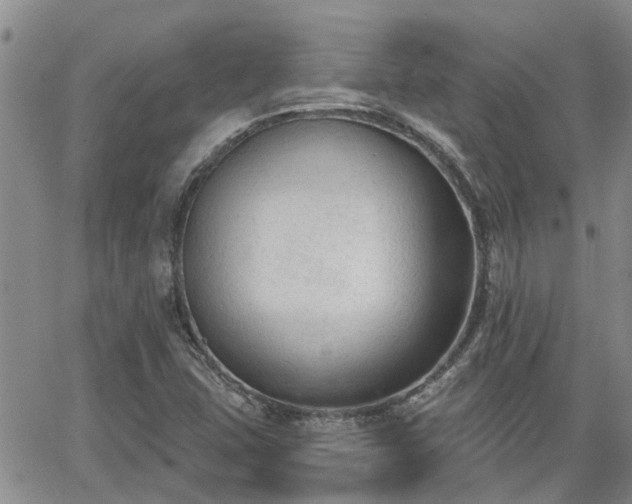 X0000063481407200601231335