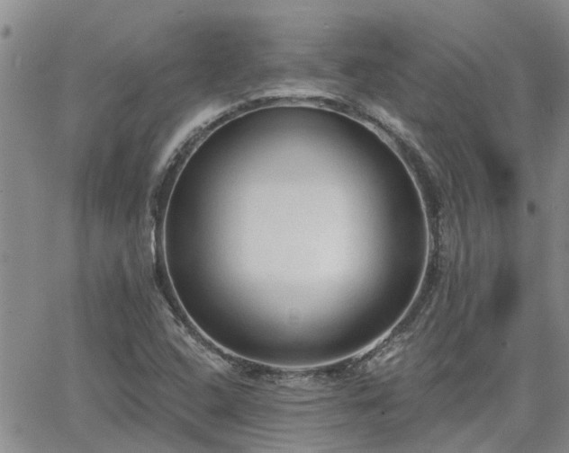 X0000063481408200601231335