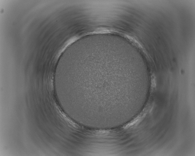 X0000063481409200601231335