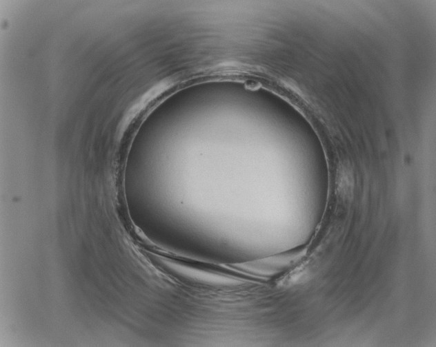 X0000063481410200601231335