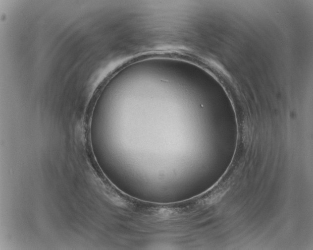 X0000063481412200601231335