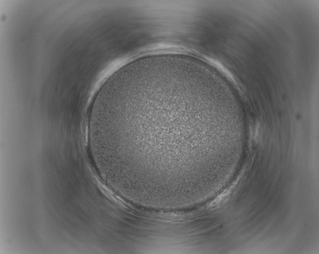 X0000063481413200601231335