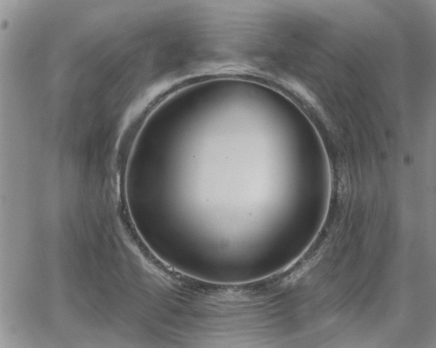 X0000063481414200601231335