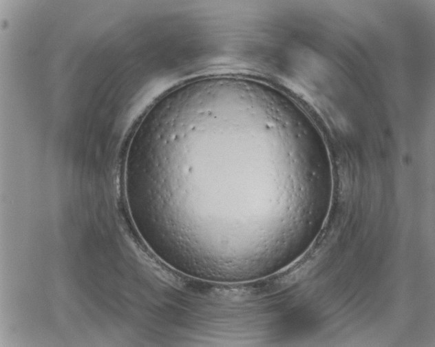 X0000063481415200601231335