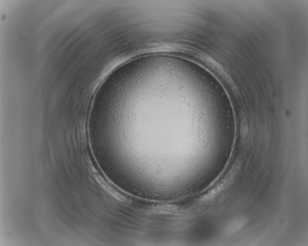 X0000063481417200601231335