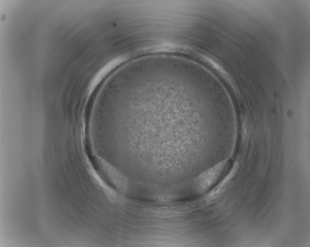 X0000063481418200601231335