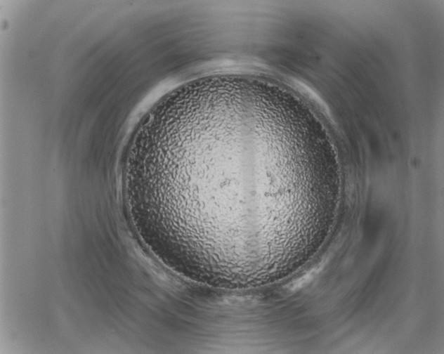 X0000063481419200601231335