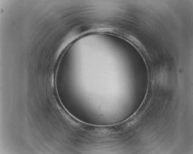 X0000063481420200601231335