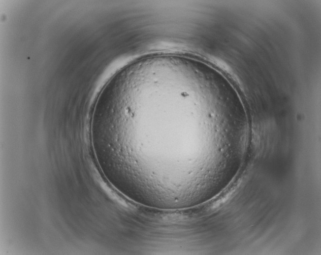 X0000063481421200601231335