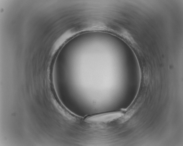 X0000063481422200601231335