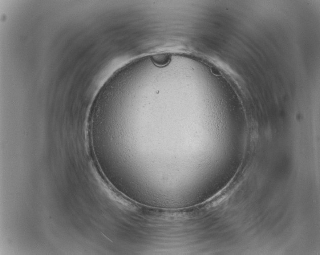 X0000063481423200601231335