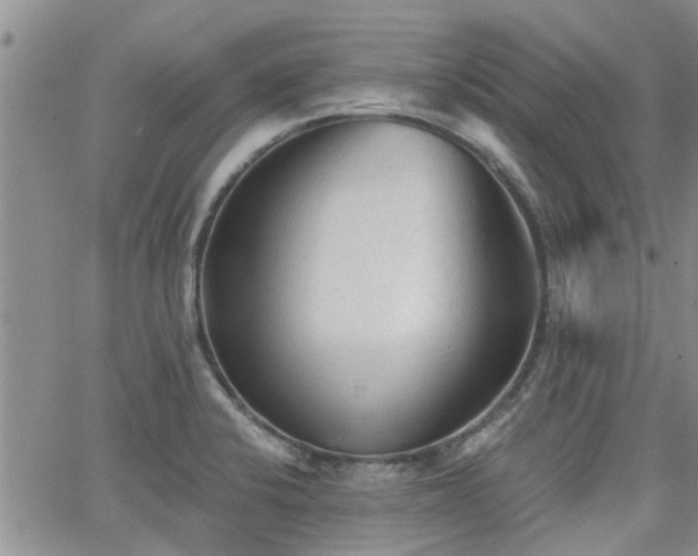 X0000063481424200601231335