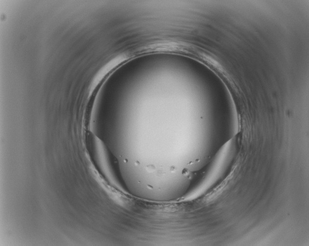 X0000063481426200601231335