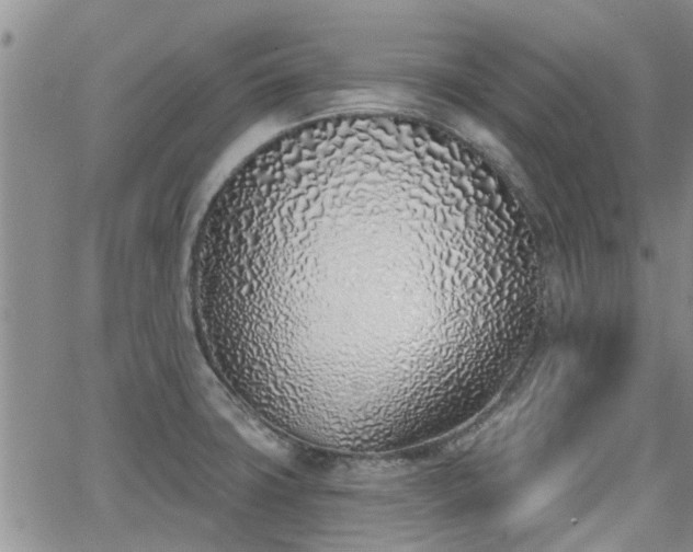 X0000063481427200601231335