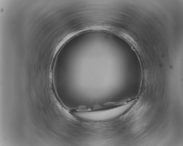 X0000063481428200601231335