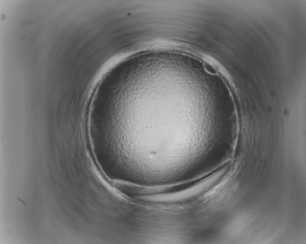 X0000063481429200601231335