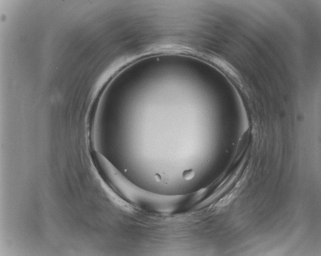 X0000063481430200601231335