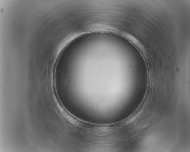 X0000063481431200601231335