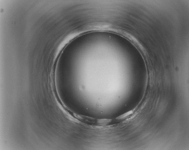 X0000063481432200601231336