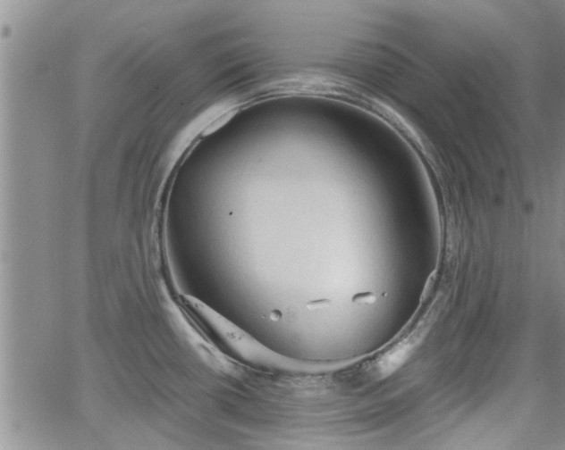 X0000063481434200601231336