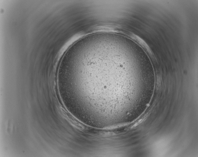 X0000063481435200601231336