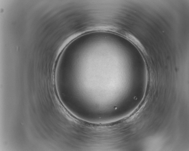 X0000063481436200601231336