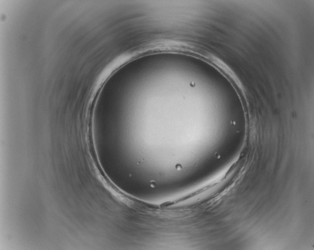 X0000063481437200601231336