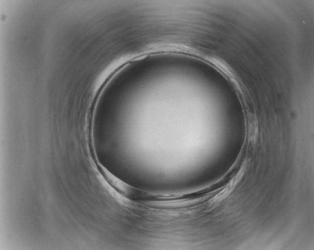 X0000063481438200601231336