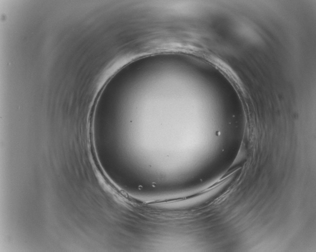 X0000063481439200601231336