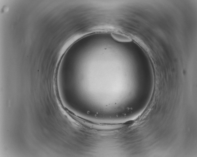 X0000063481440200601231336