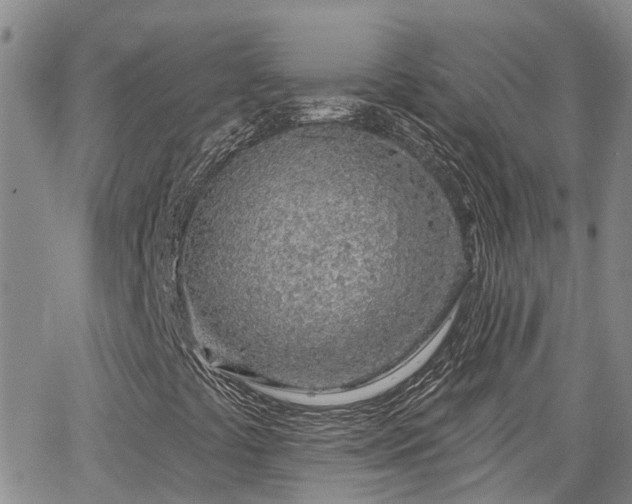 X0000063481441200601231335