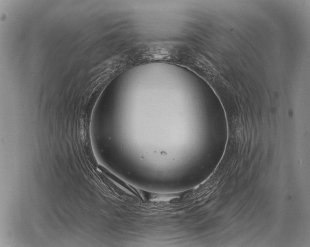 X0000063481442200601231335