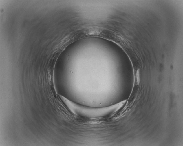 X0000063481443200601231335