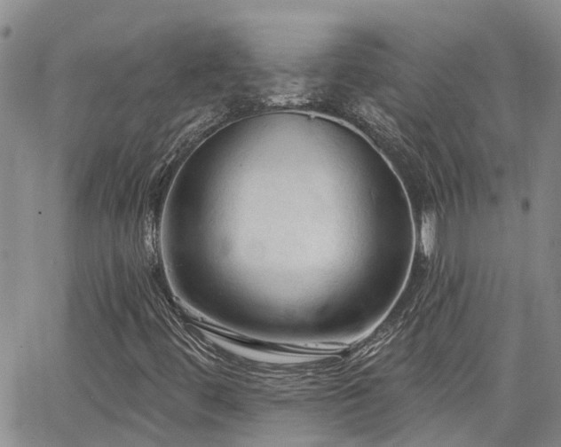 X0000063481444200601231335