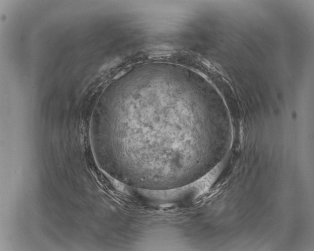 X0000063481445200601231335