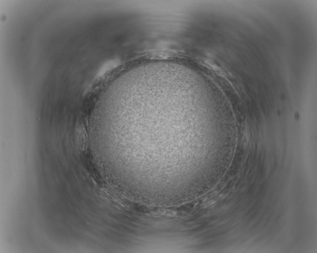 X0000063481446200601231335