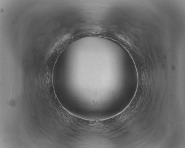 X0000063481447200601231335