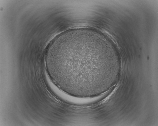 X0000063481449200601231335