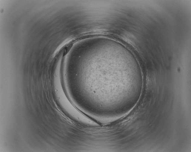 X0000063481450200601231335