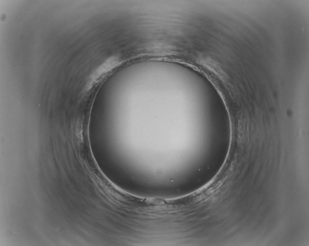 X0000063481451200601231335