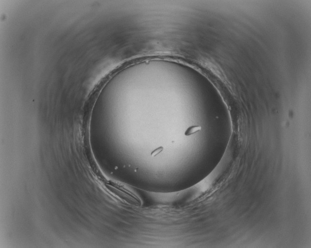 X0000063481452200601231335