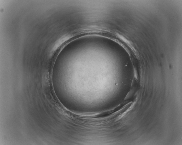 X0000063481453200601231335