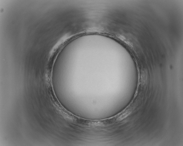 X0000063481454200601231335