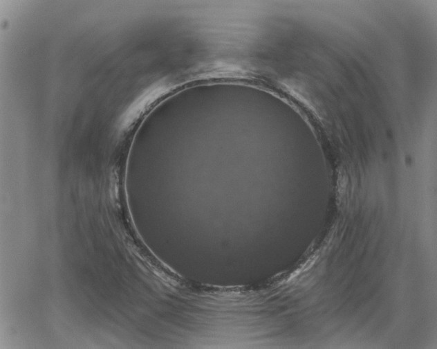 X0000063481455200601231335