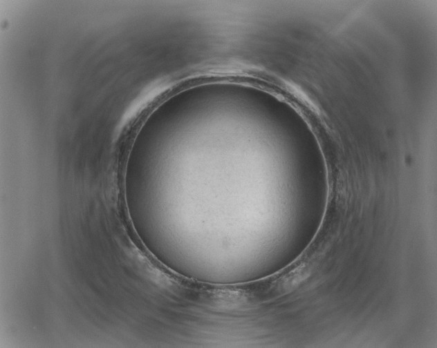 X0000063481456200601231335