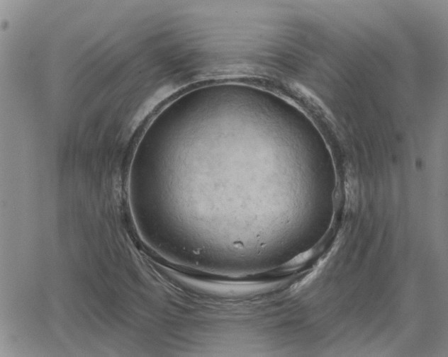 X0000063481457200601231335