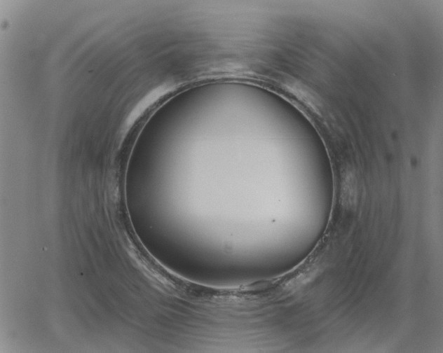 X0000063481458200601231335