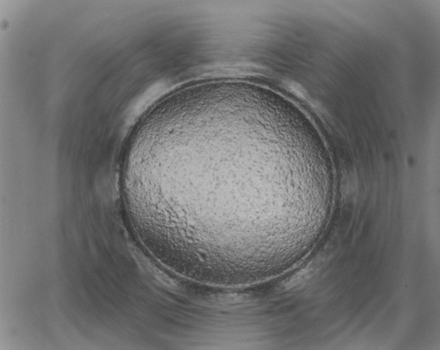 X0000063481459200601231335