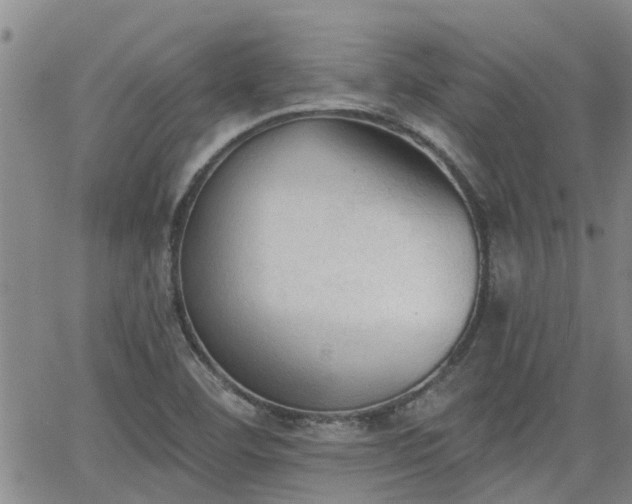 X0000063481460200601231335