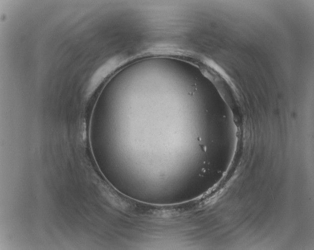 X0000063481461200601231335